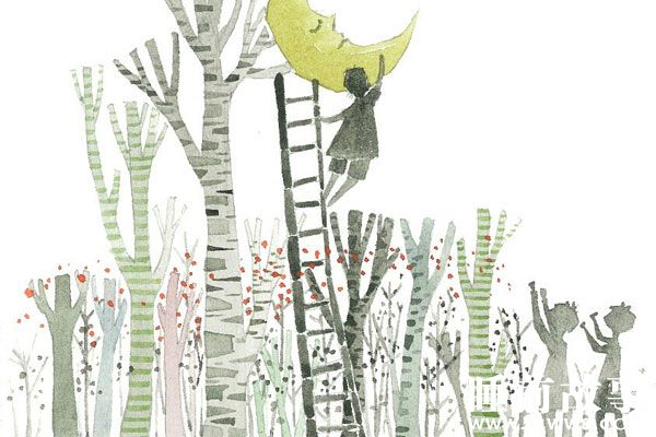 桂树的故事在线听