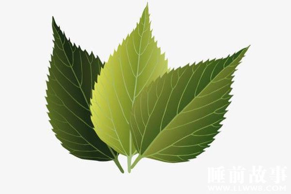 三片神树叶的故事在线听