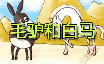 毛驴和白马的故事