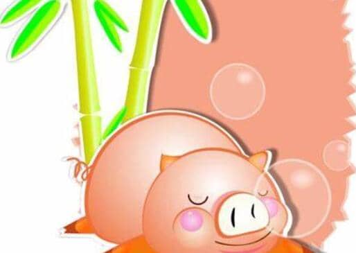 小懒猪找工作的故事