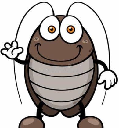 蟑螂小妹的情报