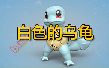 白色的乌龟