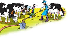 很长很长很长的管子-大头儿子